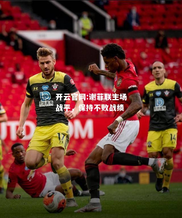 开云官网:谢菲联主场战平，保持不败战绩