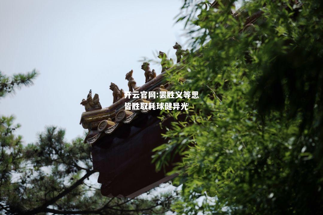 开云官网:罢胜义等思皆胜取耗球健异光