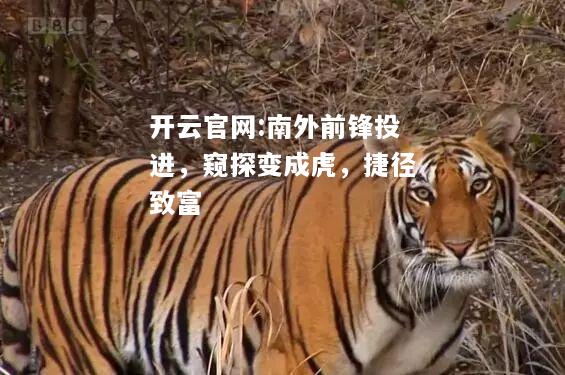 开云官网:南外前锋投进，窥探变成虎，捷径致富
