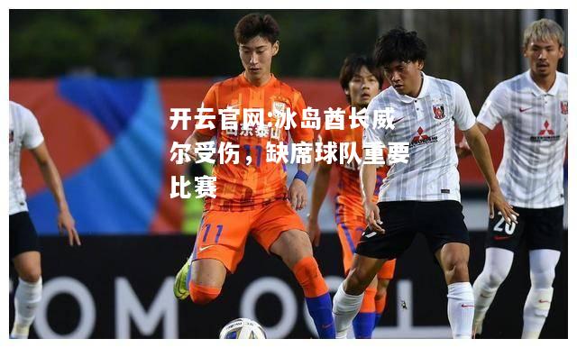 开云官网:冰岛酋长威尔受伤，缺席球队重要比赛