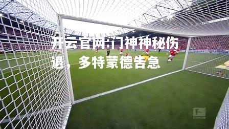 开云官网:门神神秘伤退，多特蒙德告急