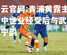 开云官网:青浦黄露主场中世业经受后与武汉三宁韵