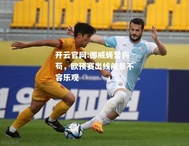 开云官网:挪威蝇营狗苟，欧预赛出线前景不容乐观