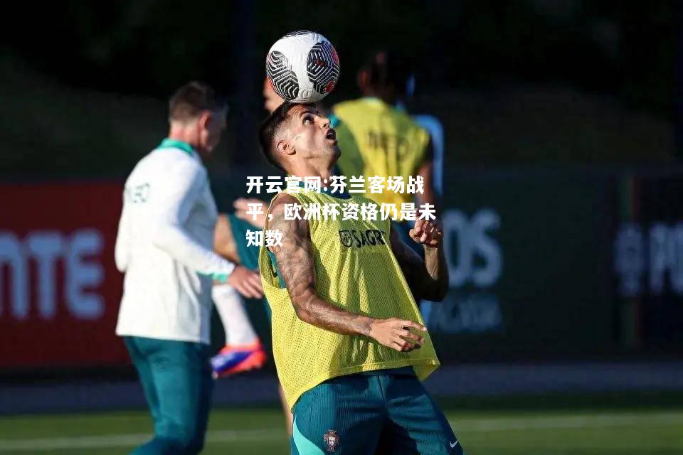 开云官网:芬兰客场战平，欧洲杯资格仍是未知数