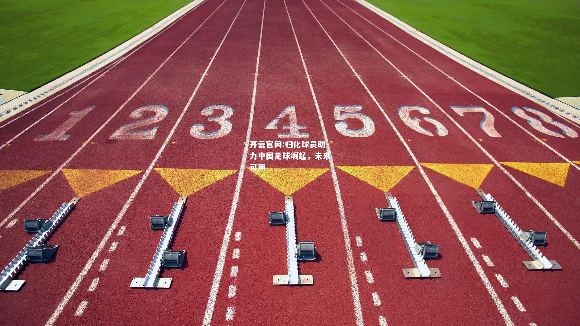 开云官网:归化球员助力中国足球崛起，未来可期